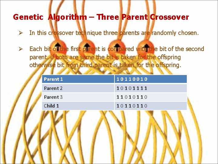 Genetic Algorithm – Three Parent Crossover Ø In this crossover technique three parents are