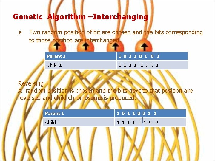 Genetic Algorithm –Interchanging Ø Two random position of bit are chosen and the bits