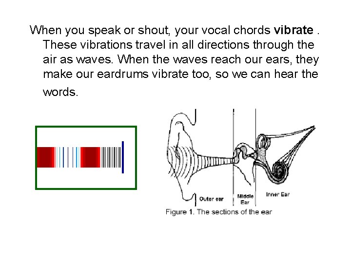 When you speak or shout, your vocal chords vibrate. These vibrations travel in all