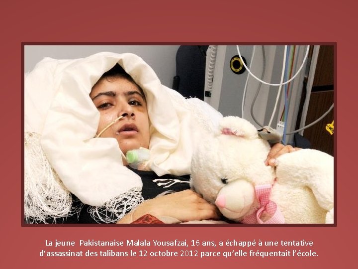 La jeune Pakistanaise Malala Yousafzai, 16 ans, a échappé à une tentative d’assassinat des