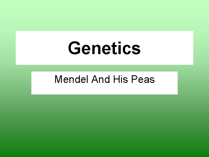 Genetics Mendel And His Peas 