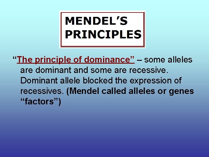 “The principle of dominance” – some alleles are dominant and some are recessive. Dominant