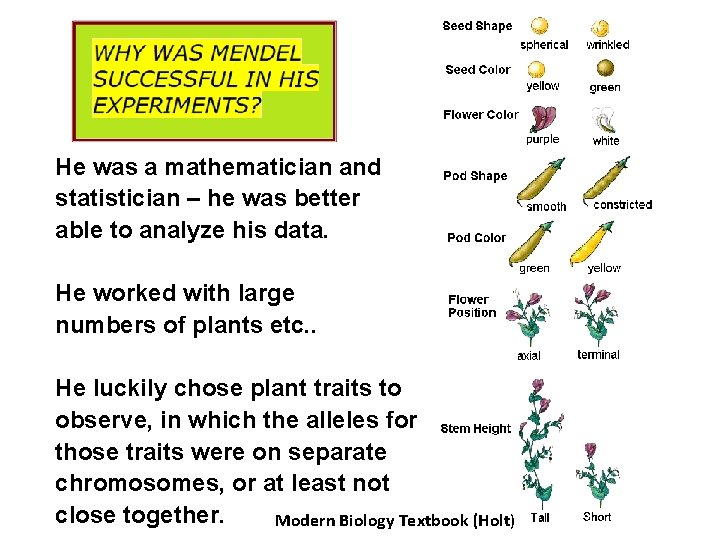 He was a mathematician and statistician – he was better able to analyze his