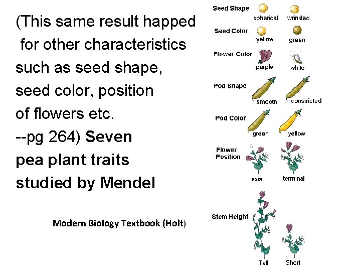 (This same result happed for other characteristics such as seed shape, seed color, position