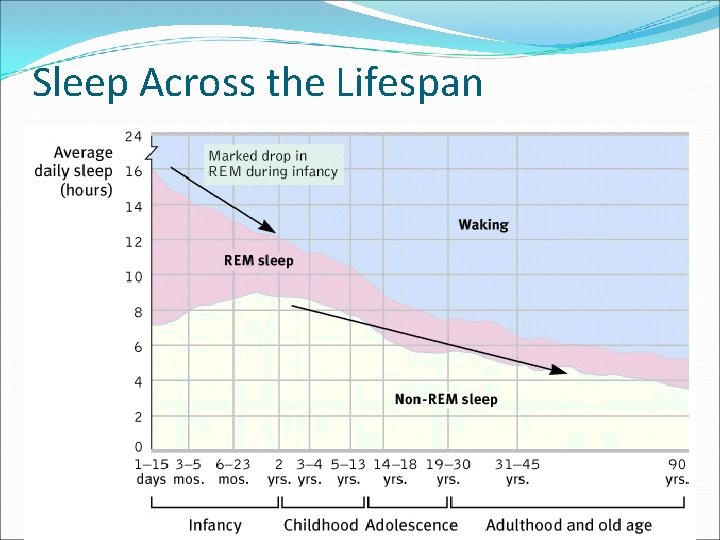 Sleep Across the Lifespan 