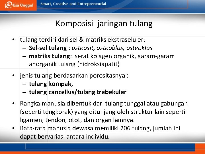 Komposisi jaringan tulang • tulang terdiri dari sel & matriks ekstraseluler. – Sel-sel tulang