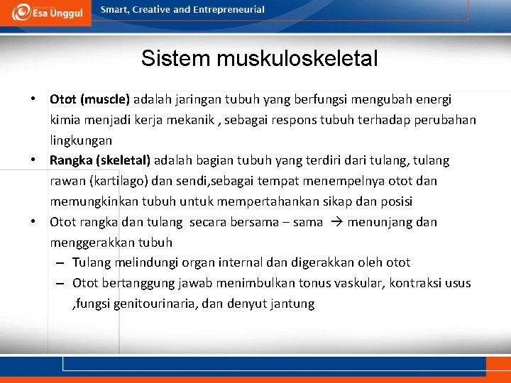 Sistem muskuloskeletal • Otot (muscle) adalah jaringan tubuh yang berfungsi mengubah energi kimia menjadi