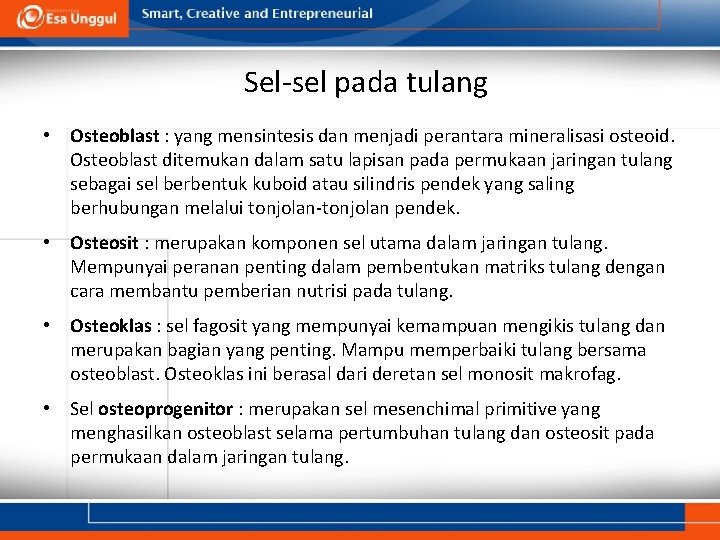 Sel-sel pada tulang • Osteoblast : yang mensintesis dan menjadi perantara mineralisasi osteoid. Osteoblast