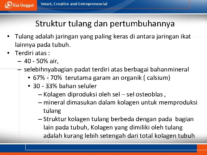 Struktur tulang dan pertumbuhannya • Tulang adalah jaringan yang paling keras di antara jaringan