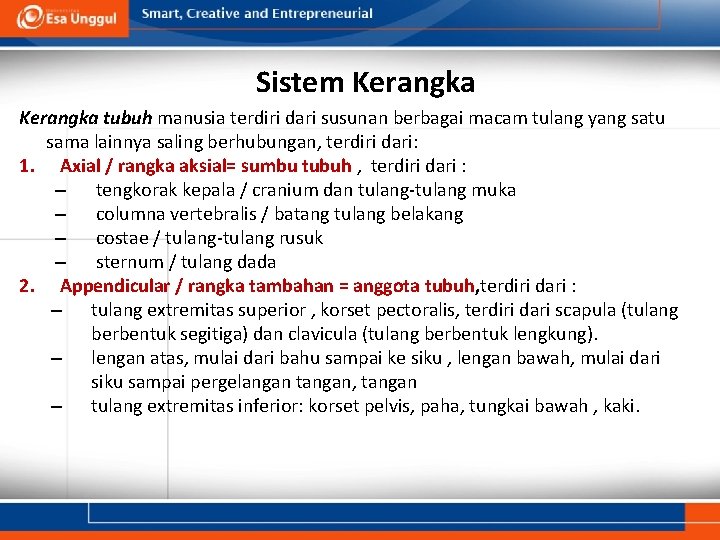 Sistem Kerangka tubuh manusia terdiri dari susunan berbagai macam tulang yang satu sama lainnya