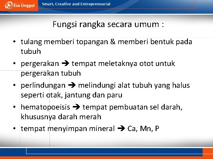 Fungsi rangka secara umum : • tulang memberi topangan & memberi bentuk pada tubuh