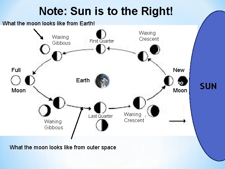 Note: Sun is to the Right! What the moon looks like from Earth! Waxing