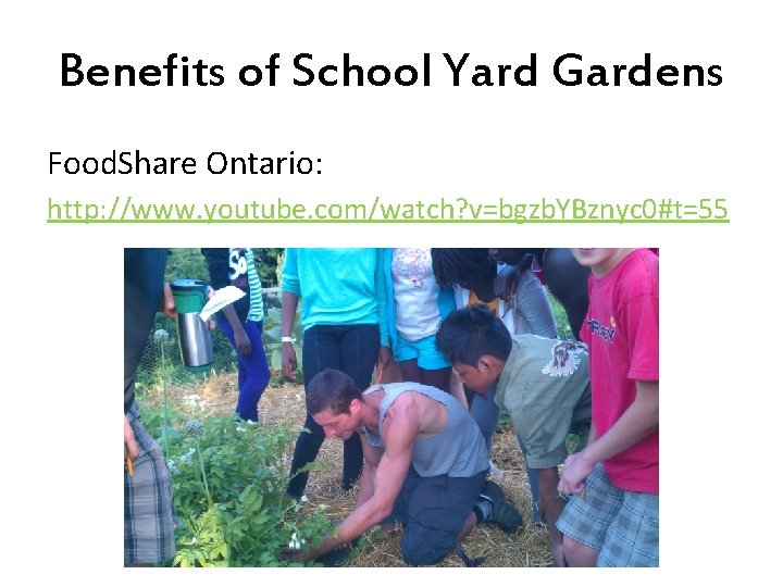 Benefits of School Yard Gardens Food. Share Ontario: http: //www. youtube. com/watch? v=bgzb. YBznyc