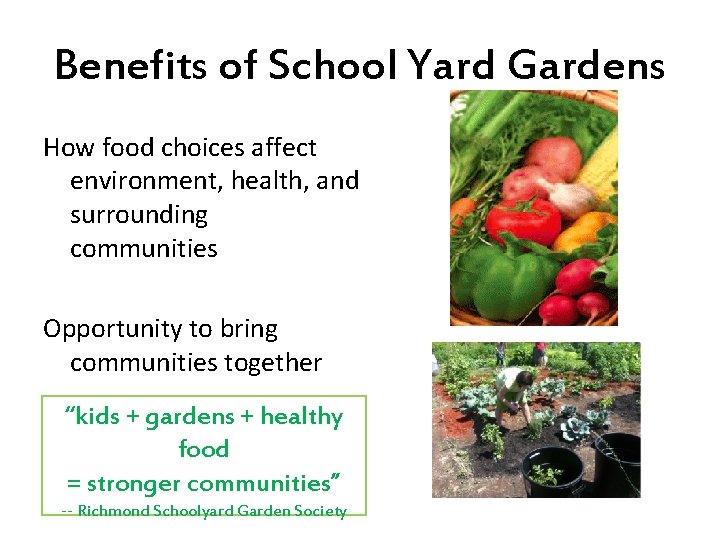 Benefits of School Yard Gardens How food choices affect environment, health, and surrounding communities