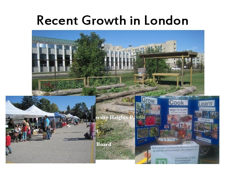 Recent Growth in London ‘Seed to Table’ at University Heights P. S • LCRC