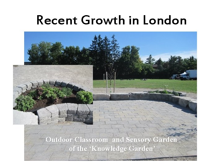 Recent Growth in London Outdoor Classroom and Sensory Garden of the ‘Knowledge Garden’ 