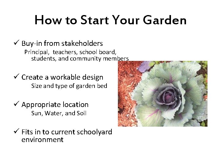 How to Start Your Garden ü Buy-in from stakeholders Principal, teachers, school board, students,