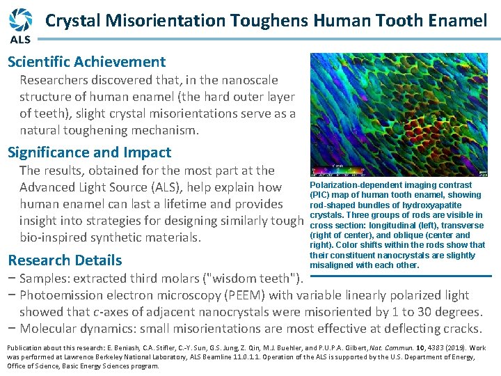 Crystal Misorientation Toughens Human Tooth Enamel Scientific Achievement Researchers discovered that, in the nanoscale