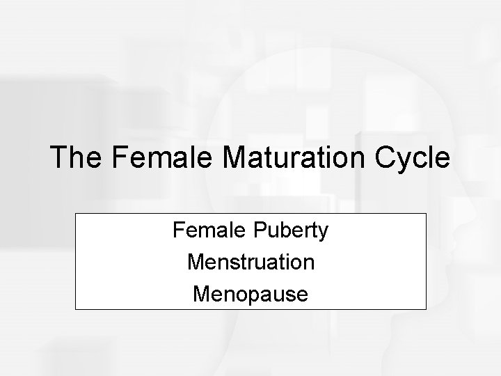 The Female Maturation Cycle Female Puberty Menstruation Menopause 