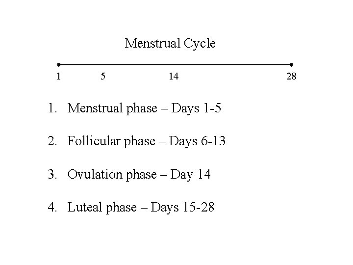 Menstrual Cycle 1 5 14 1. Menstrual phase – Days 1 -5 2. Follicular