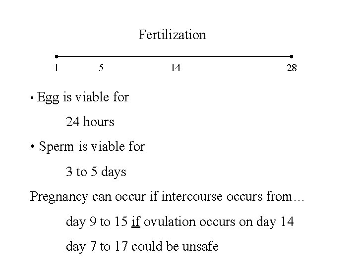 Fertilization 1 • Egg 5 14 28 is viable for 24 hours • Sperm