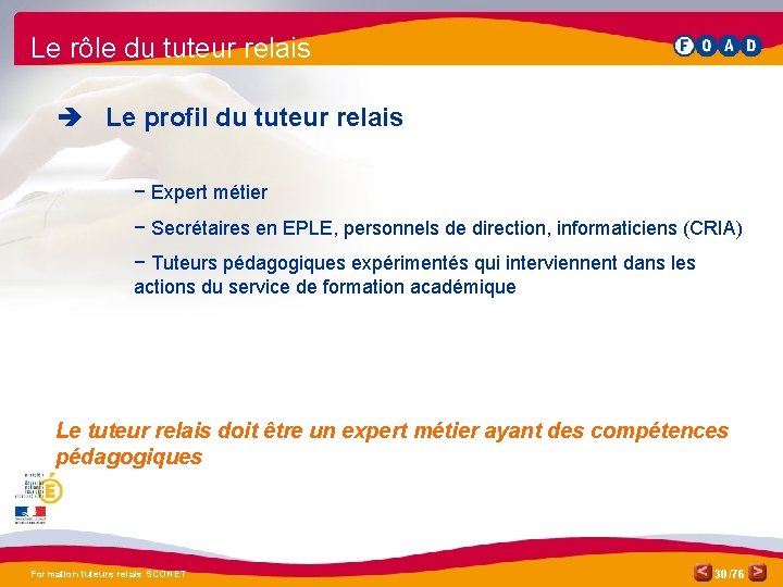 Le rôle du tuteur relais è Le profil du tuteur relais − Expert métier