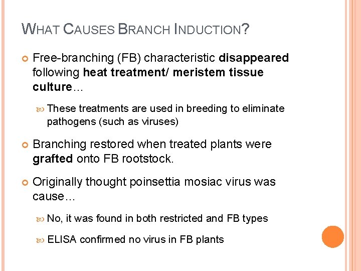 WHAT CAUSES BRANCH INDUCTION? Free-branching (FB) characteristic disappeared following heat treatment/ meristem tissue culture…