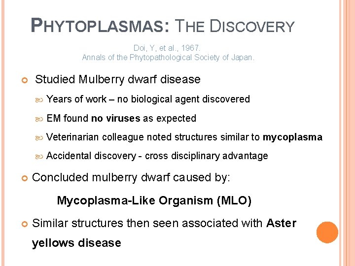 PHYTOPLASMAS: THE DISCOVERY Doi, Y, et al. , 1967. Annals of the Phytopathological Society