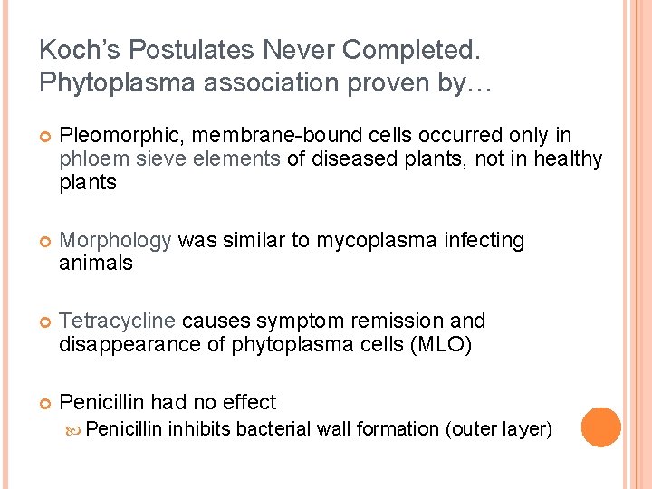 Koch’s Postulates Never Completed. Phytoplasma association proven by… Pleomorphic, membrane-bound cells occurred only in