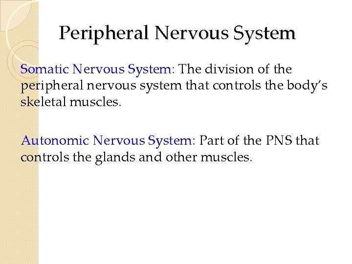 Peripheral Nervous System Somatic Nervous System: The division of the peripheral nervous system that Peripheral Nervous System Somatic Nervous System: The division of the peripheral nervous system that