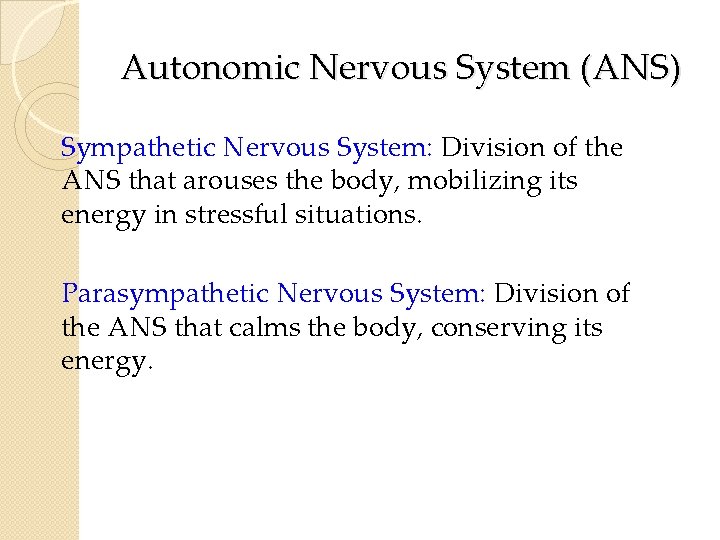 Autonomic Nervous System (ANS) Sympathetic Nervous System: Division of the ANS that arouses the Autonomic Nervous System (ANS) Sympathetic Nervous System: Division of the ANS that arouses the