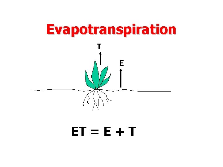 Evapotranspiration T E ET = E + T 