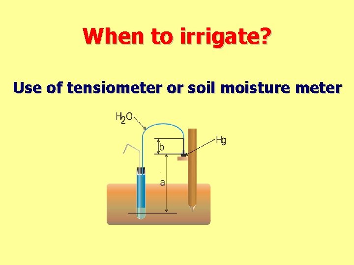 When to irrigate? Use of tensiometer or soil moisture meter 