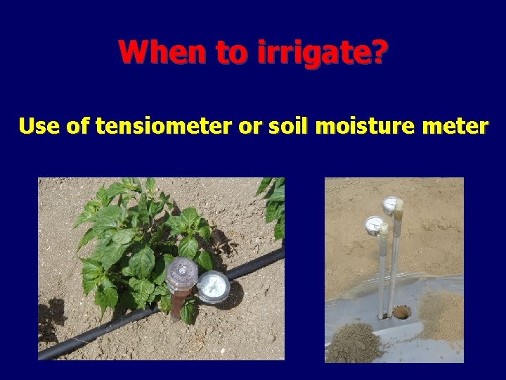 When to irrigate? Use of tensiometer or soil moisture meter 