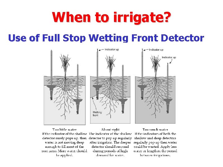 When to irrigate? Use of Full Stop Wetting Front Detector 