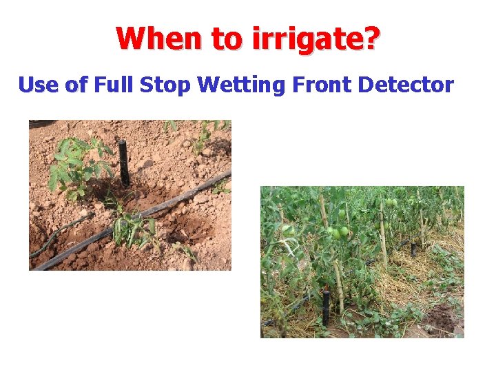 When to irrigate? Use of Full Stop Wetting Front Detector 