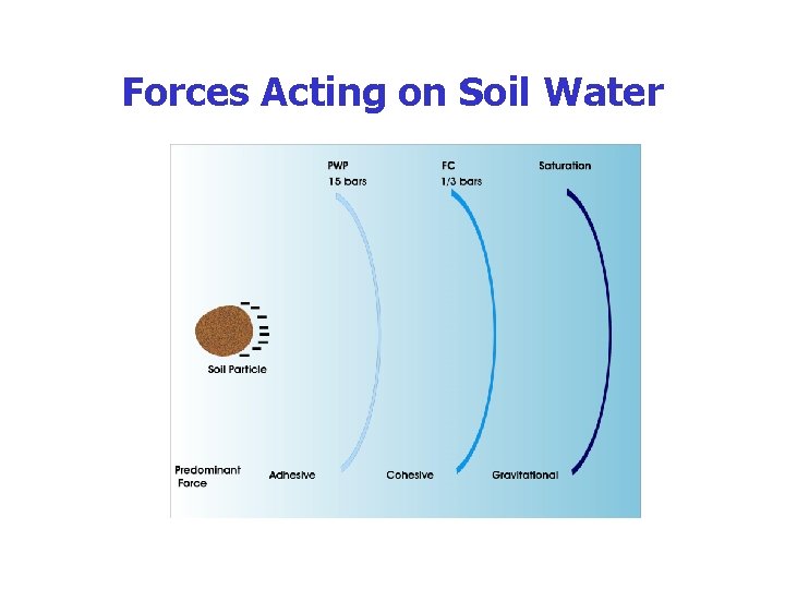 Forces Acting on Soil Water 