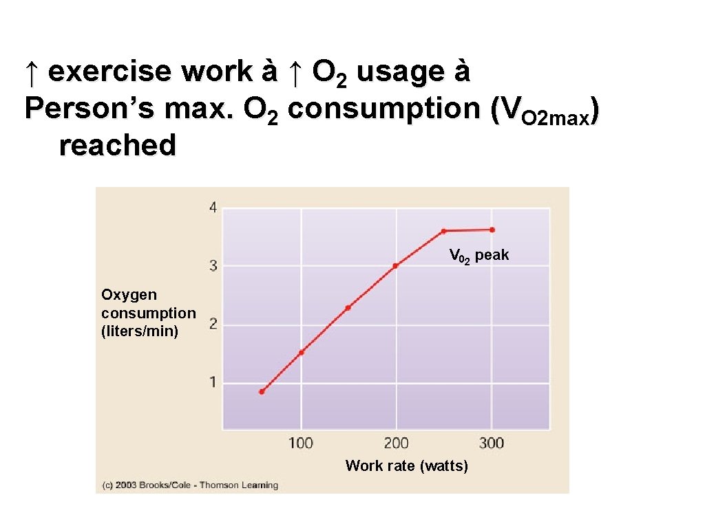 ↑ exercise work à ↑ O 2 usage à Person’s max. O 2 consumption