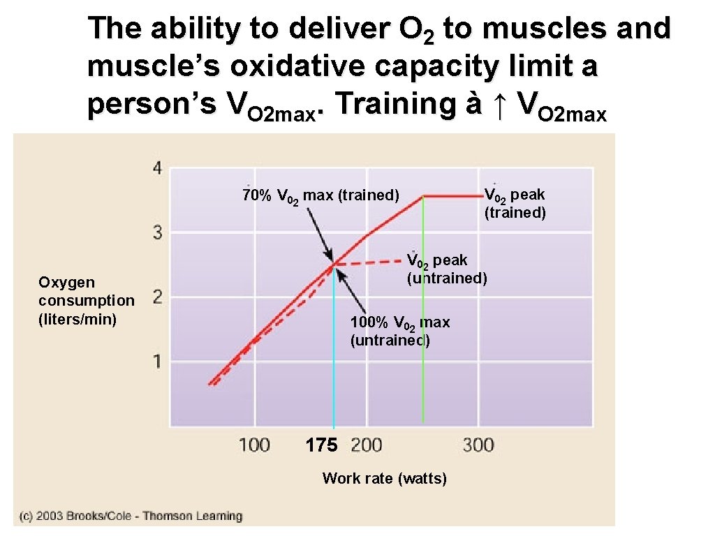 The ability to deliver O 2 to muscles and muscle’s oxidative capacity limit a