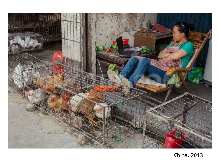China, 2013 