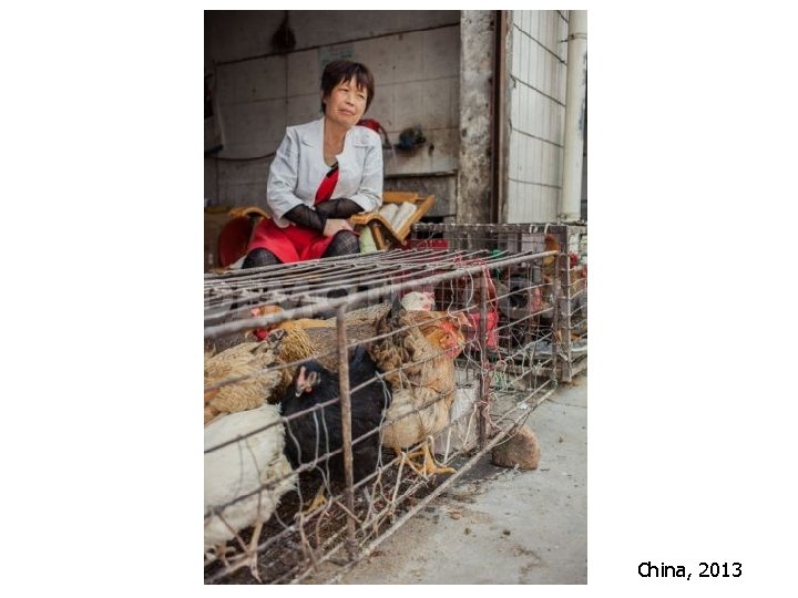 China, 2013 