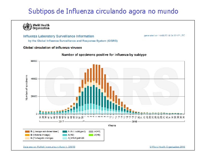 Subtipos de Influenza circulando agora no mundo 