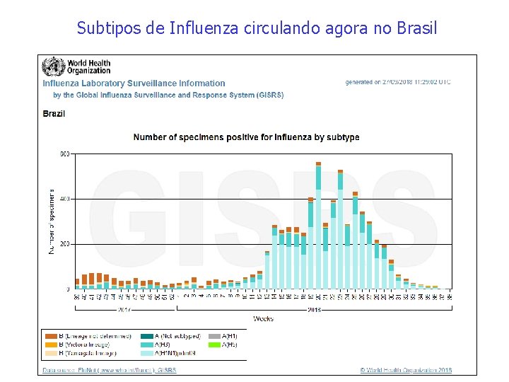 Subtipos de Influenza circulando agora no Brasil 