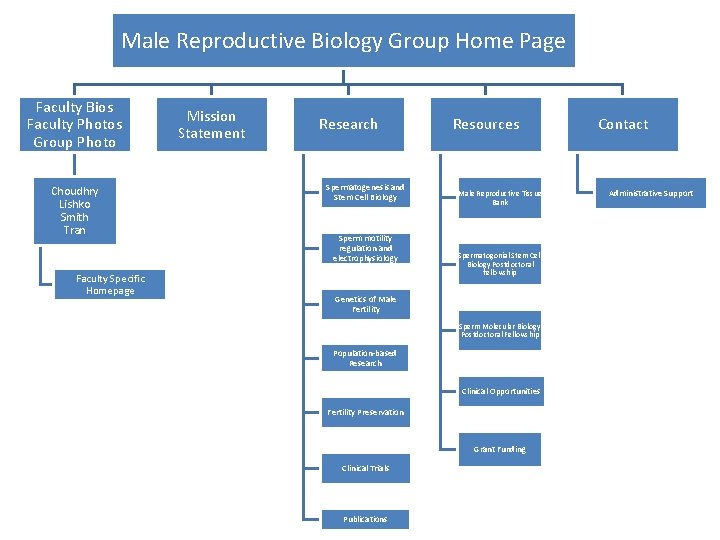 Male Reproductive Biology Group Home Page Faculty Bios Faculty Photos Group Photo Choudhry Lishko