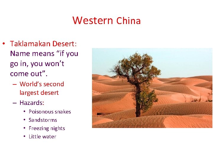 Western China • Taklamakan Desert: Name means “if you go in, you won’t come