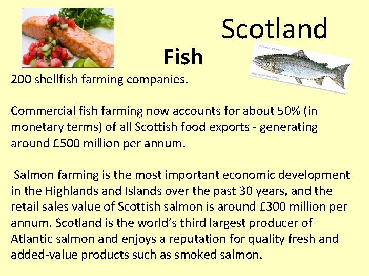 Fish Scotland 200 shellfish farming companies. Commercial fish farming now accounts for about 50%