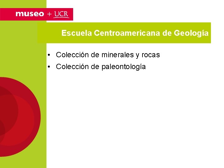 Escuela Centroamericana de Geología • Colección de minerales y rocas • Colección de paleontología