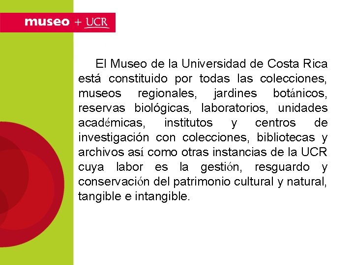 El Museo de la Universidad de Costa Rica está constituido por todas las colecciones,