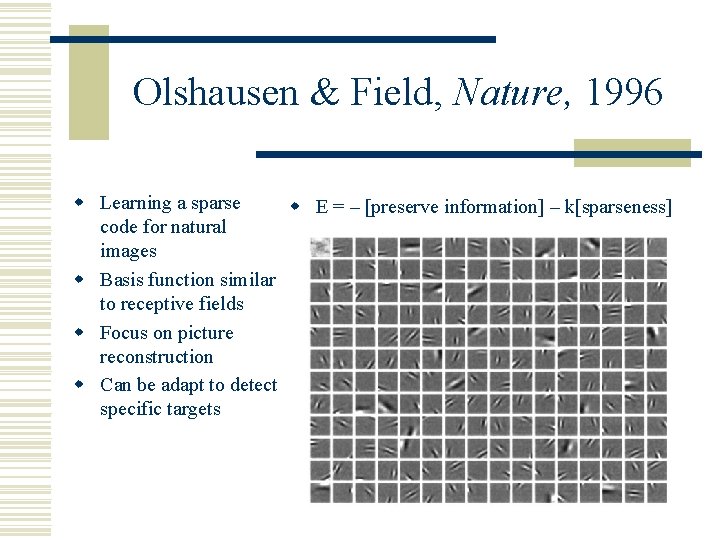Olshausen & Field, Nature, 1996 w Learning a sparse w E = – [preserve