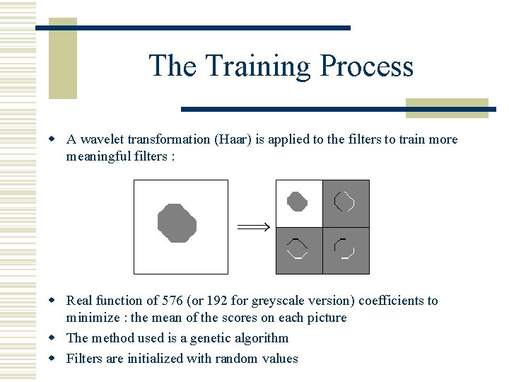 The Training Process w A wavelet transformation (Haar) is applied to the filters to